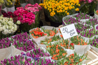 Various flowers for sale at market stall