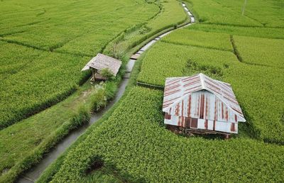 High angle view of agricultural field