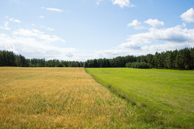 Scenic view of field against sky