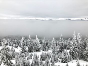 Scenic view of frozen lake against sky