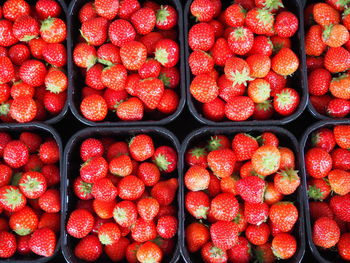 Full frame shot of strawberries in containers for sale at market stall