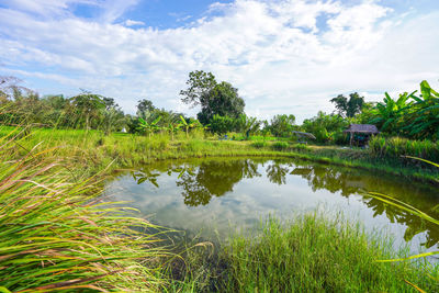 Scenic view of field by lake against sky