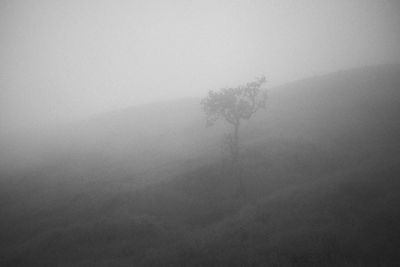 Scenic view of foggy weather against sky