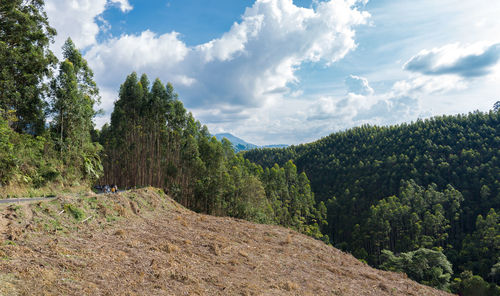 Scenic view of trees and mountains against sky