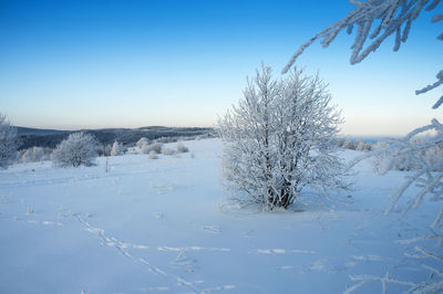 Beautiful winter landscapes in the valleys