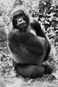 Close up of man sitting on land