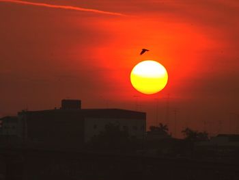 Silhouette bird flying in sky during sunset