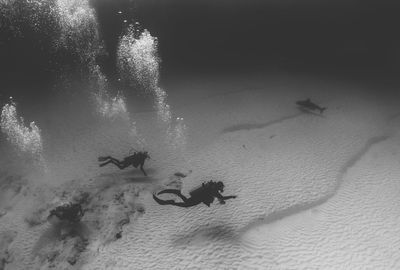 High angle view of people swimming in sea