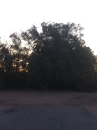 Defocused image of trees on field against sky