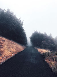 Road amidst trees against sky