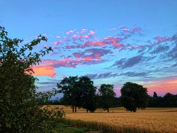 Trees on field against blue sky