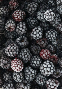 Full frame shot of blackberries 