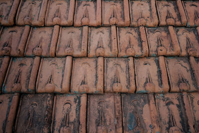 Row of tile with moss on it