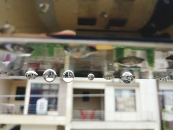 Close-up of wine glass against window