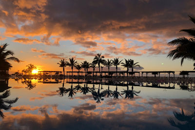Silhouette plants by swimming pool against sky during sunset
