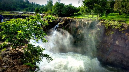 Scenic view of waterfall in forest