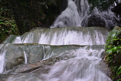 Scenic view of waterfall in forest