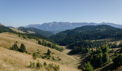 Scenic view of landscape against clear sky