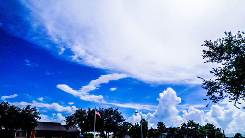 Low angle view of trees against blue sky