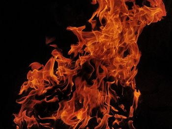 Close-up of fire against black background