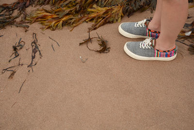 Low section of person standing by seaweeds on sand at beach