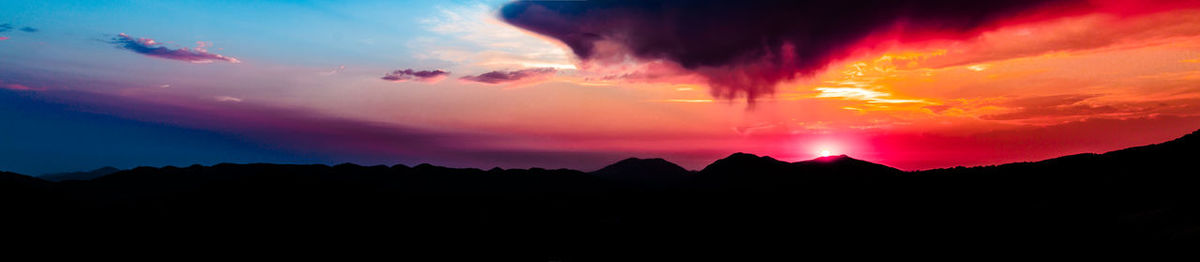 Silhouette of trees at sunset