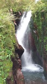 View of waterfall in forest