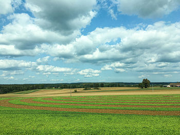 Scenic view of agricultural field against sky