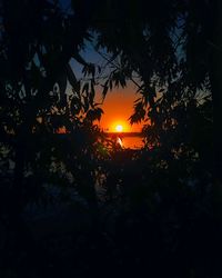 Silhouette trees against sky during sunset