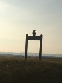 Silhouette man on field against sky