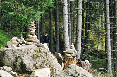 People by trees seen through rocks in forest