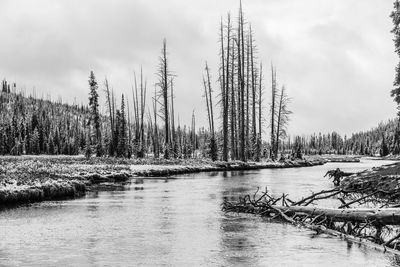Scenic view of lake against sky