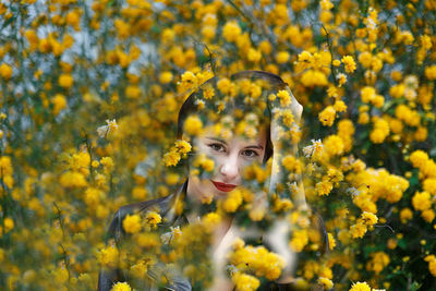 Portrait of yellow flowering plants