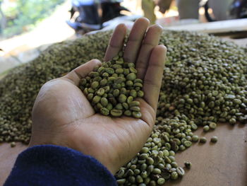 Close-up of hand holding fruits