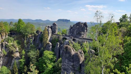 Panoramic view of trees and plants against sky