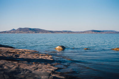 Scenic view of sea against clear sky