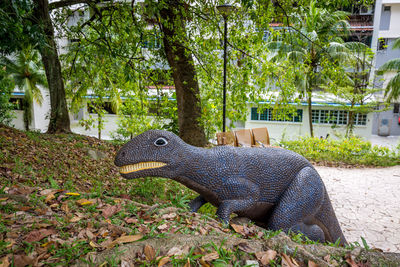 Side view of a horse in a park