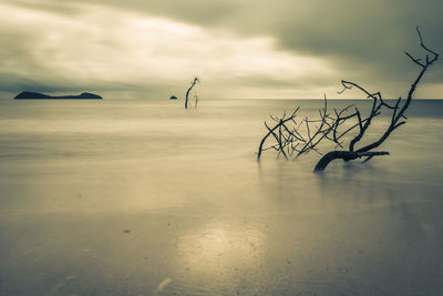 Scenic view of sea against cloudy sky