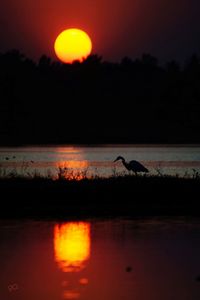 Scenic view of lake against orange sky