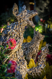 Close-up of flower tree