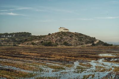 Scenic view of agricultural field against sky