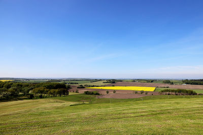 Scenic view of field against blue sky