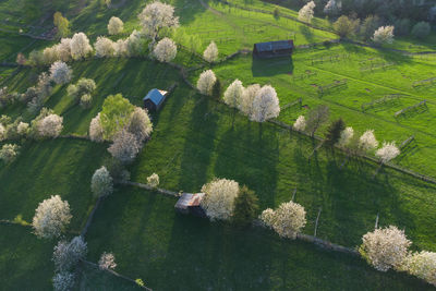 Spring rural