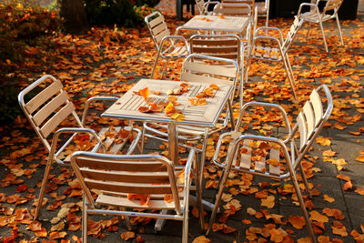 Empty chairs and tables in park during autumn