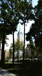 Building with trees in background