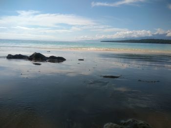 Scenic view of sea against sky