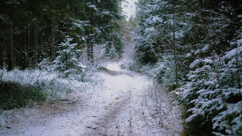 Scenic view of waterfall in forest during winter