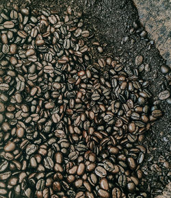 Full frame shot of coffee beans