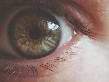 Extreme close-up of human eye