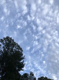 Low angle view of tree against cloudy sky